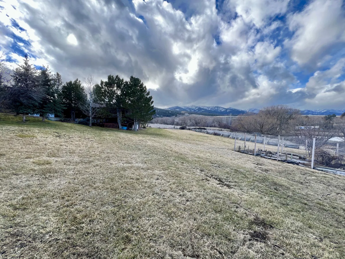 A panoramic view of an expansive grassy field framed by distant mountains and clusters of trees. The open space suggests endless opportunities for picnics, stargazing, and outdoor festivities against a stunning natural backdrop.
