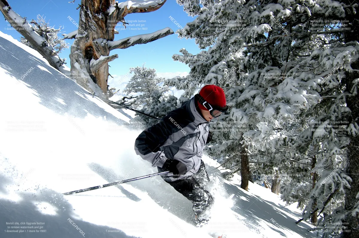 A skier glides down a pristine, snow-covered slope surrounded by trees and set against the backdrop of a clear blue sky. The image captures the excitement and energy of winter sports in the nearby Anthony Lakes Mountain Resort.